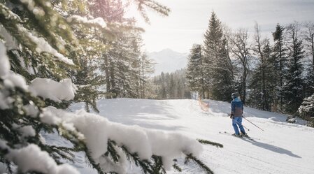 © stefanleitner.com | Stefan Leitner