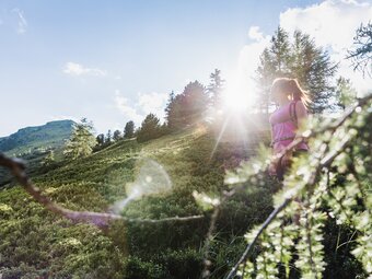 Blick zurück auf den Gipfel des Stein am Mandl in Rottenmann