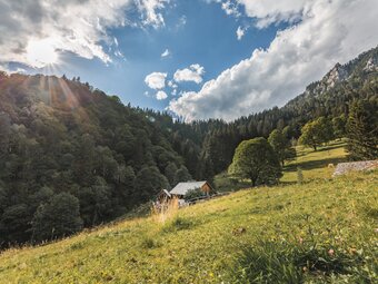 Johnsbacher Almenrunde