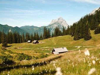 Huberalm in Johnsbach