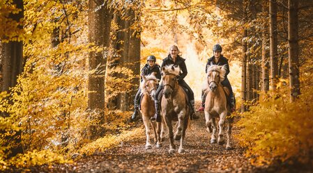 Reiten im Gesäuse | © Stefan Leitner Photography |  