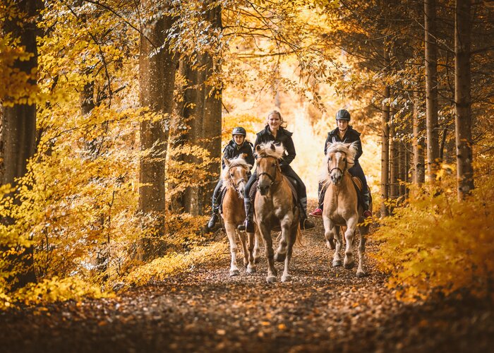 Horseback riding in the Gesäuse | © Stefan Leitner Photography |  