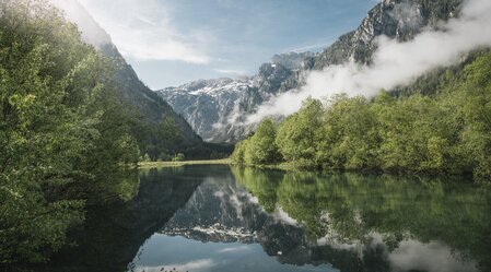 © stefanleitner.com | Stefan Leitner