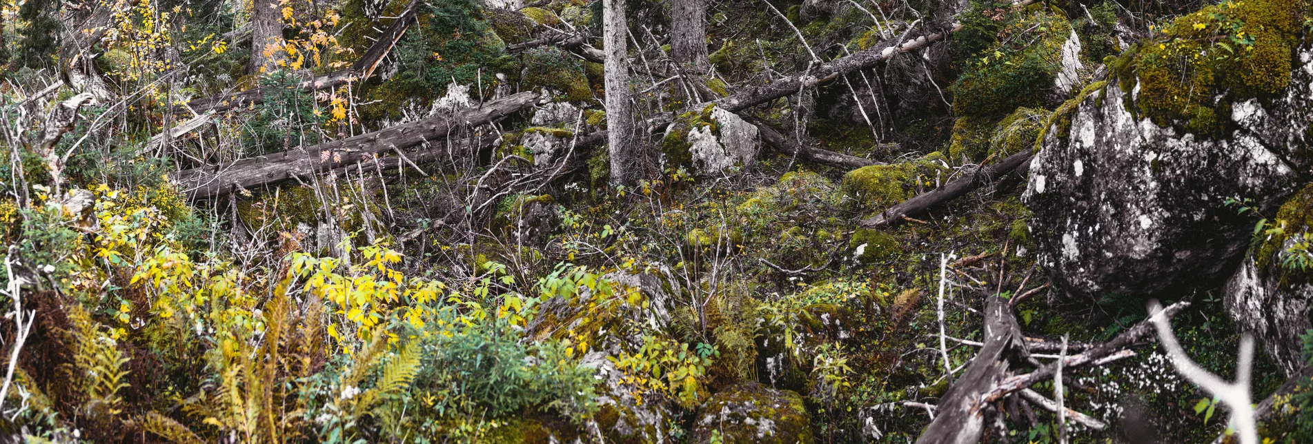 Nationalpark Gesäuse 2019_c-Stefan Leitner_Gesaeuse_56 | © stefanleitner.com | Stefan Leitner