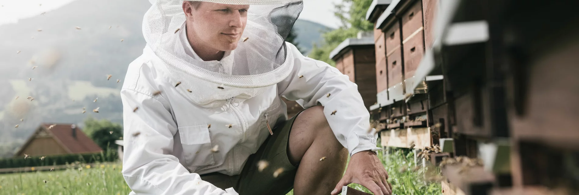 Bergbienen Imkerei_c-Stefan Leitner_Gesaeuse_23 | © stefanleitner.com