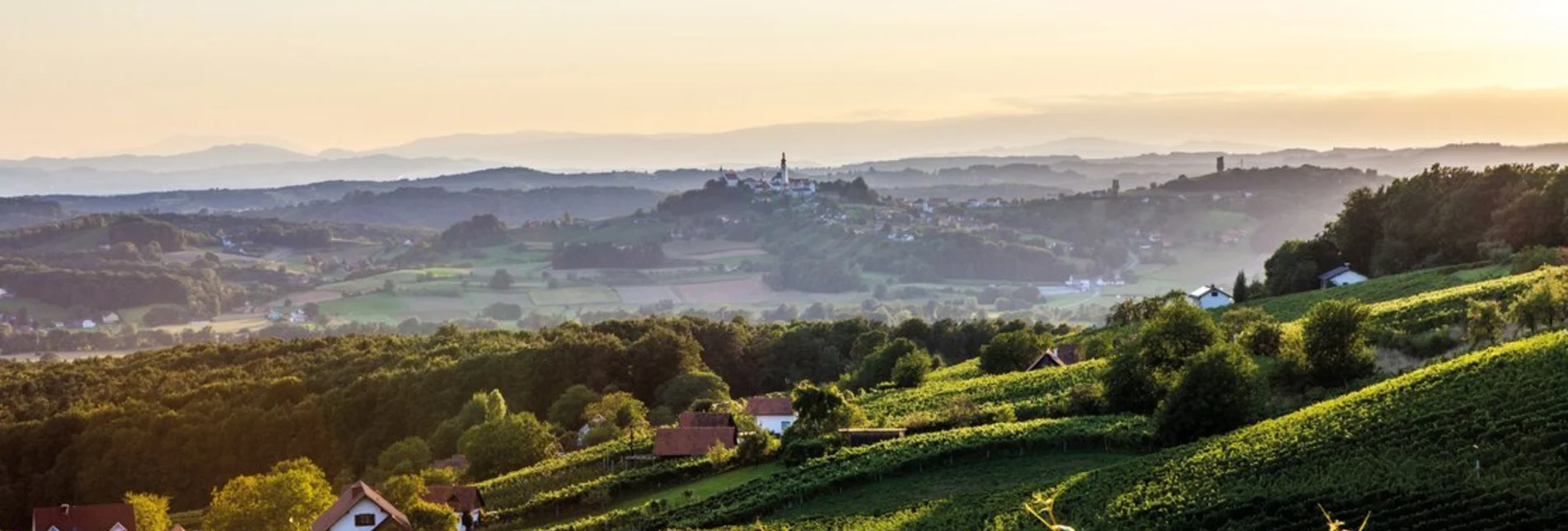 View of the landscape of the Straden wine region | © Winzer Vulkanland I Ulrike Korntheuer