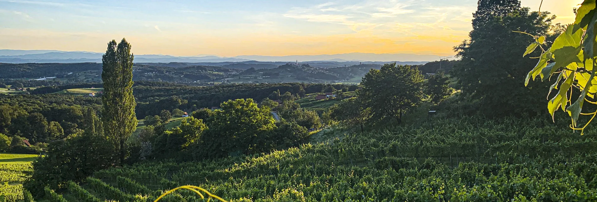 Blick über die Landschaft der Marktgemeinde Straden | © Thermen- & Vulkanland | Werner Resch