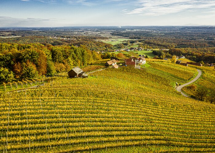 Weingärten Klöch im goldenen Herbst | © Thermen- & Vulkanland | Pixelmaker