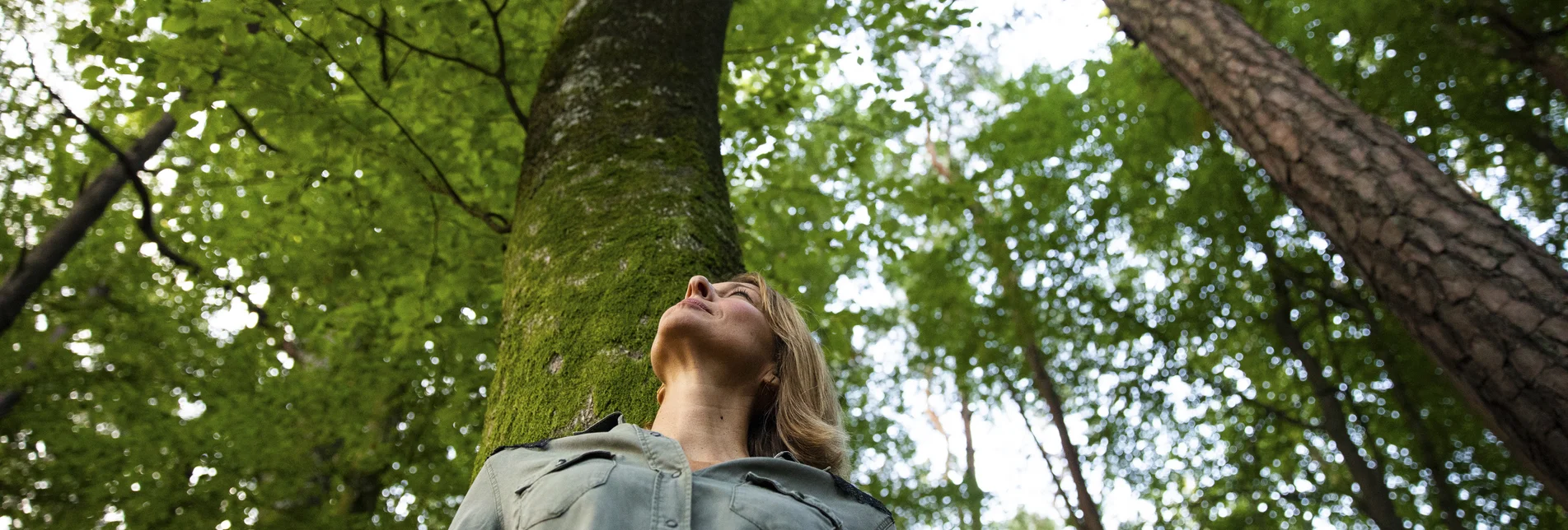 Forest bathing at the Heiltherme Bad Waltersdorf | © Steiermark Tourismus | Punkt & Komma