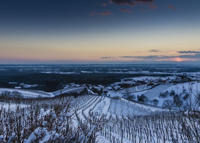 Snow covered vineyards in Bad Radkersburg | © Thermen- & Vulkanland | pixelmaker.at | pixelmaker.at