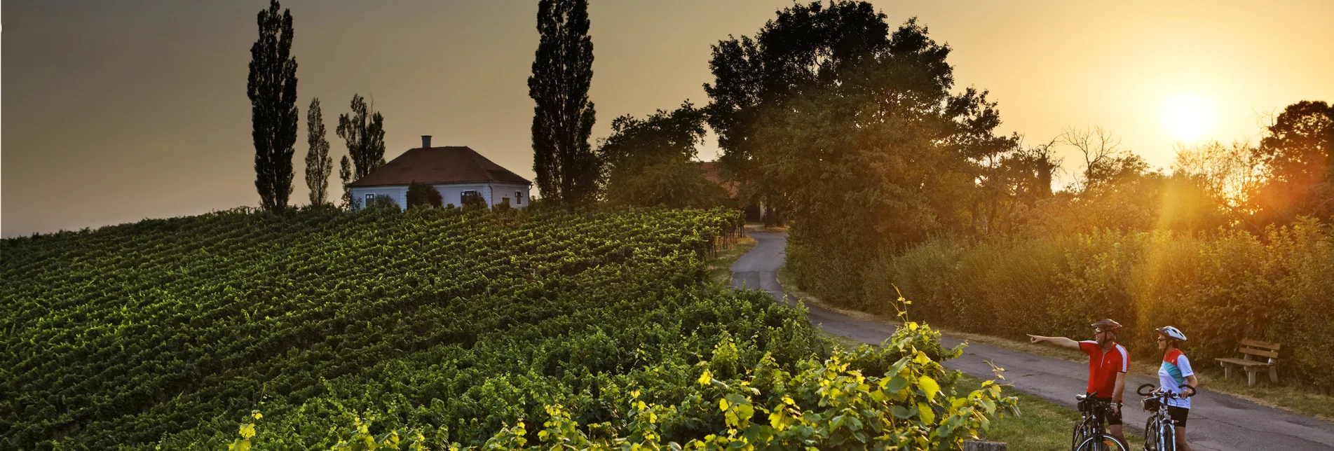 Weinland Steiermark Radtour | © Thermen- & Vulkanland | Bernhard Bergmann