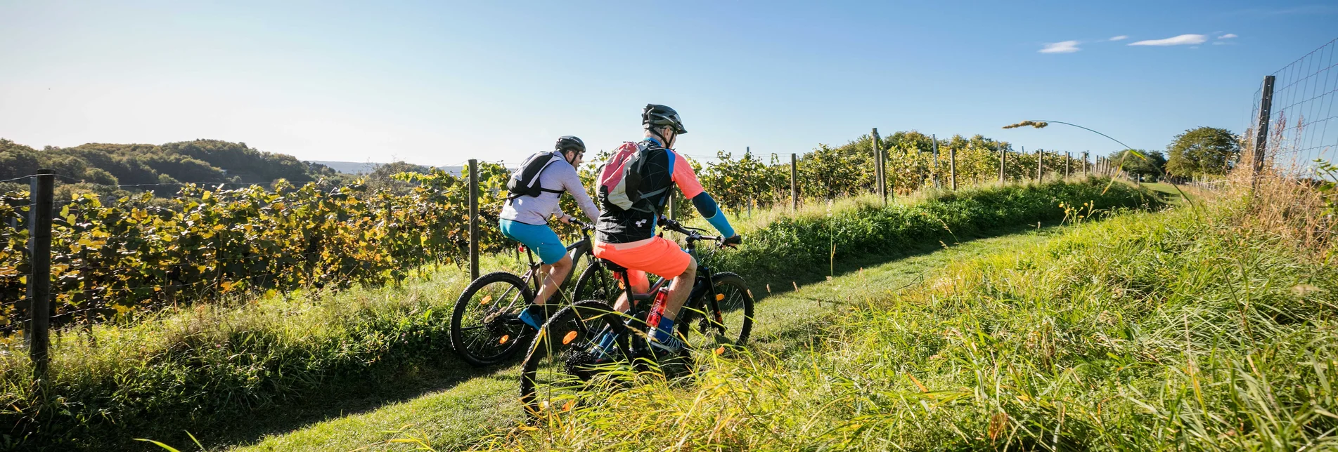 Biking along the vineyards | © Thermen- & Vulkanland | Harald Eisenberger