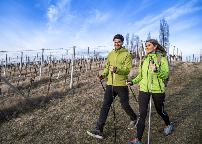 Hiking in the gently rolling winter landscape | pixelmaker.at | © Thermen- & Vulkanland/Pixelmaker
