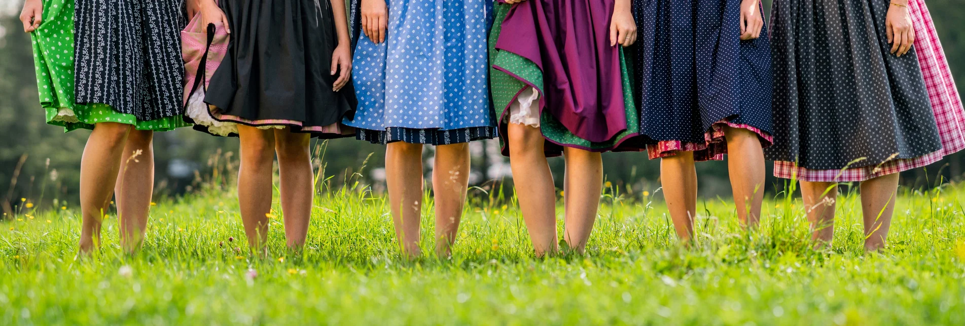 Dirndl calves | © Steiermark Tourismus | Jenni Koller