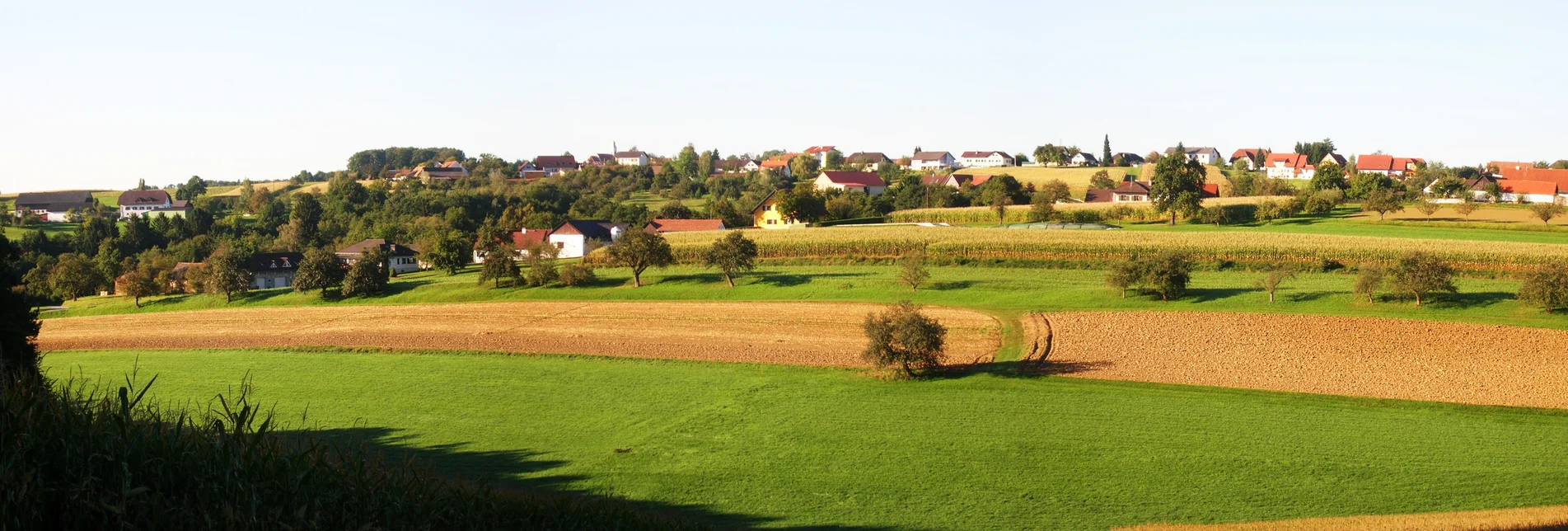 Buch - St. Magdalena - Impression #1 | © Gemeinde Buch St. Magdalena