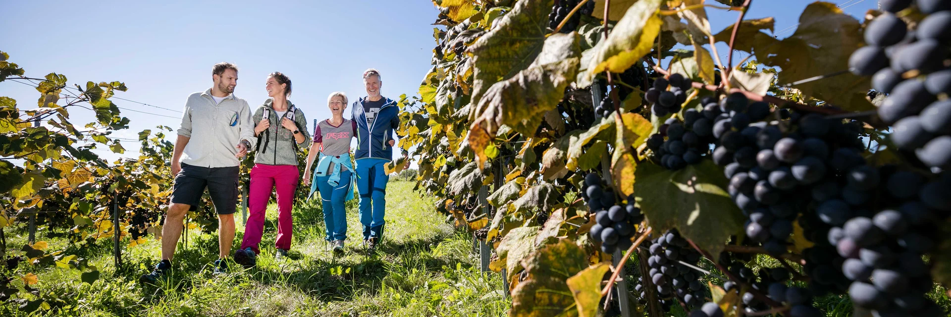 Familienzeit in der Weinregion Südoststeiermark | © Thermen- & Vulkanland | Harald Eisenberger