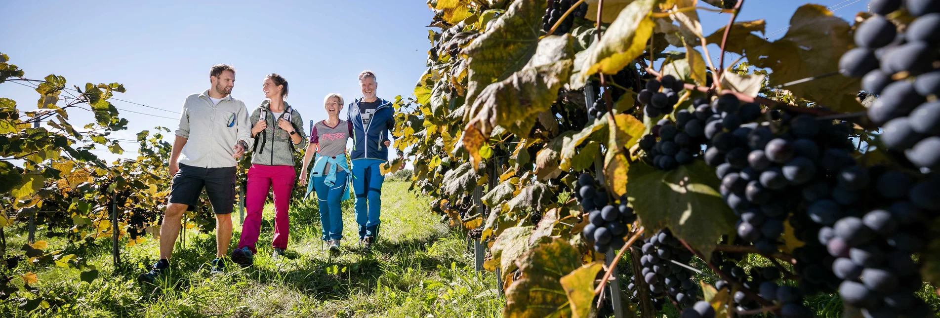 Family time in the Southeast Styria wine region | © Thermen- & Vulkanland | Harald Eisenberger