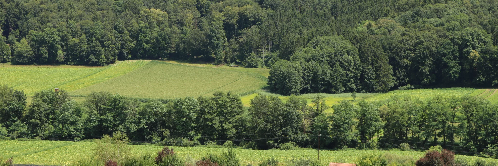 Fündig wurden sie schneller als gedacht, denn das idyllische Plätzchen in Petersdorf war das erste Grundstück, das sie besichtigten. Den beiden Tirolern war von Anfang an klar, dass es diese Region werden sollte. | © Antonia Gutzwar | © Antonia Gutzwar