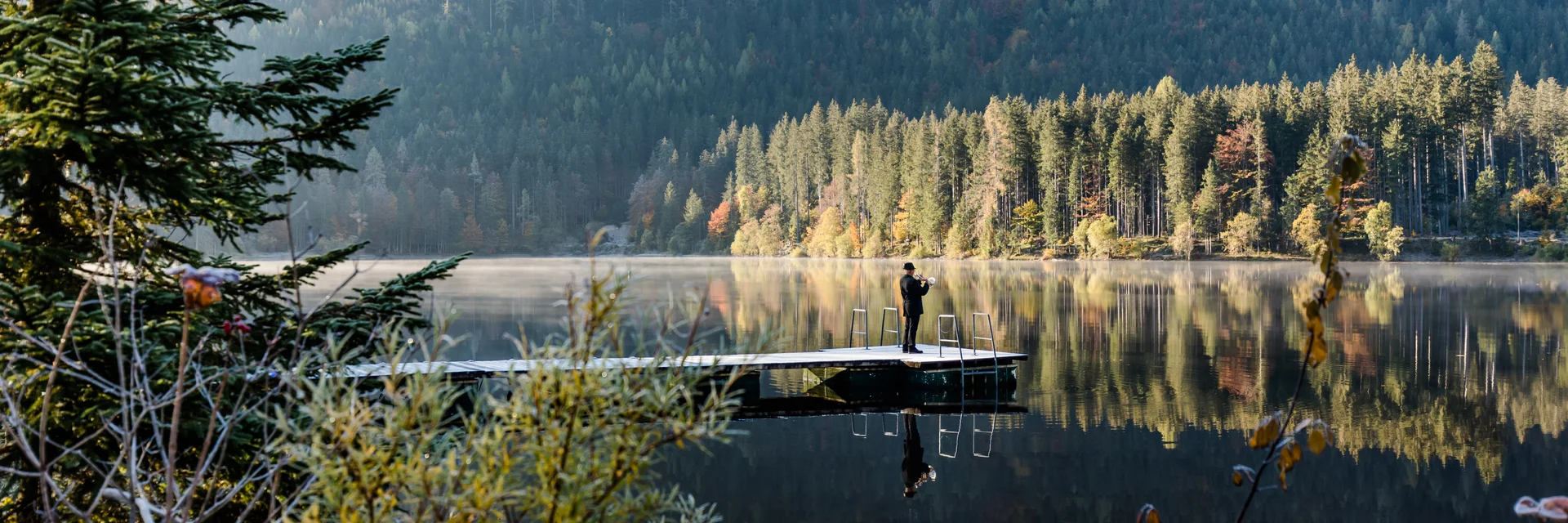 Ein Weisenbläser am herbstlichen Ödensee Ein Weisenbläser am herbstlichen Ödensee