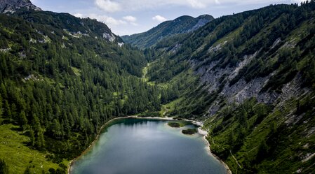 © Tom Lamm | ikarus.cc | Tom Lamm