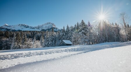 © Katrin Kerschbaumer Photography | Katrin Kerschbaumer Photography