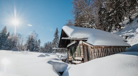 © Katrin Kerschbaumer Photography | Katrin Kerschbaumer Photography