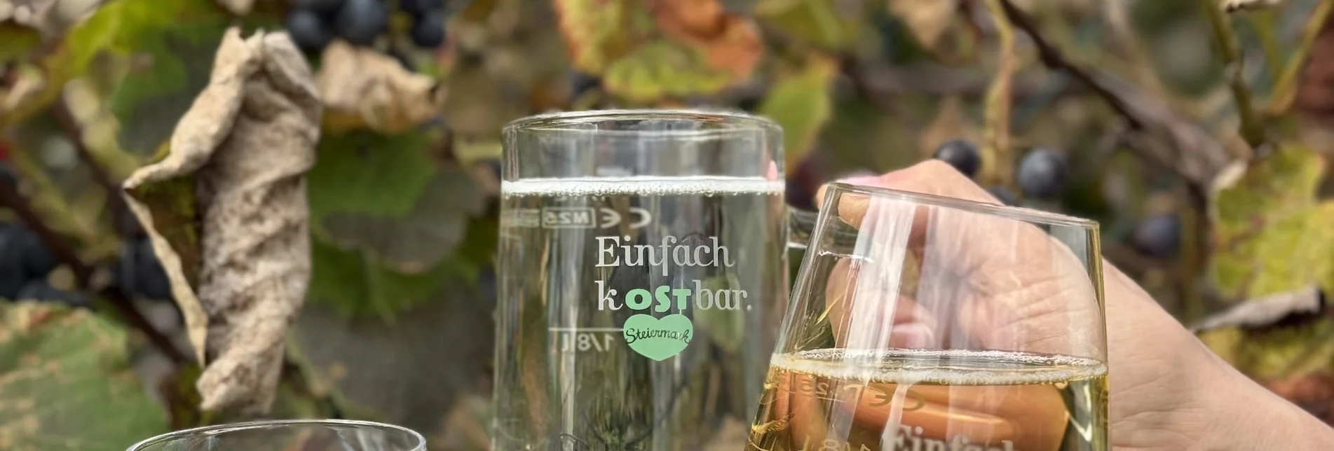 Oststeiermark Gläser Oststeiermark Gläser