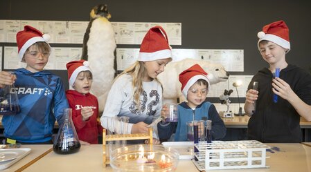 Children at the Advent program in the Ecopark Hartberg | © TV Oststeiermark | Bernhard Bergmann