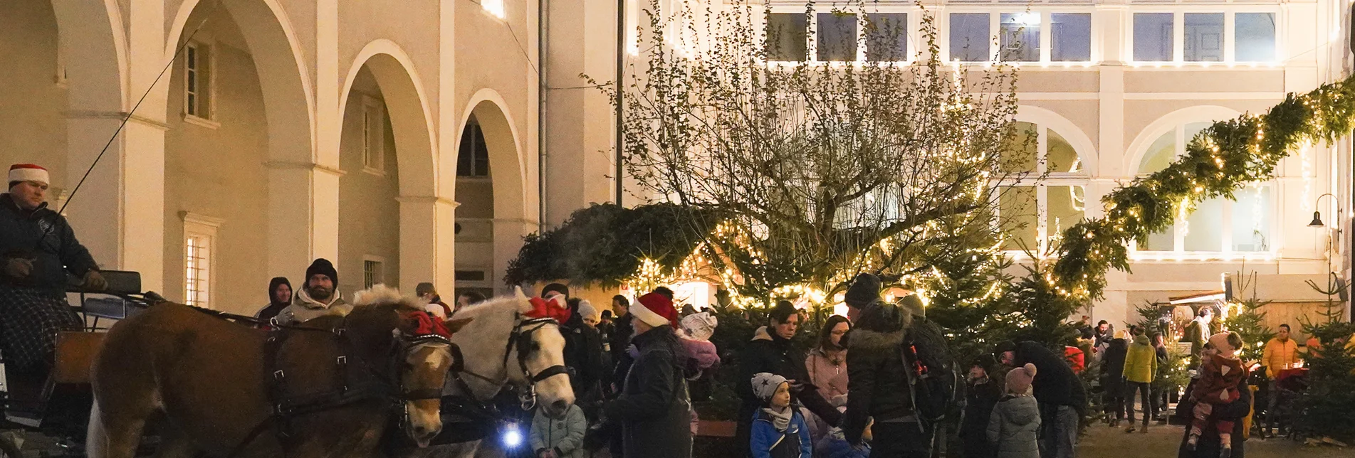 PackageKurzurlaub im Advent im Naturpark Pöllauer Tal und im Hartberger- & Wechselland - 2 oder 4 Nächte inkl. Frühstück