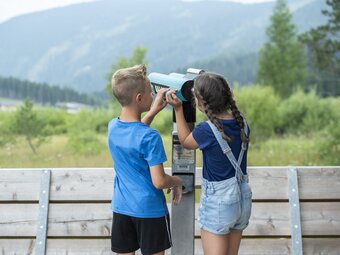 In die Ferne am Moorlehrpfad blicken | © Oststeiermark Tourismus, Rene Strasser