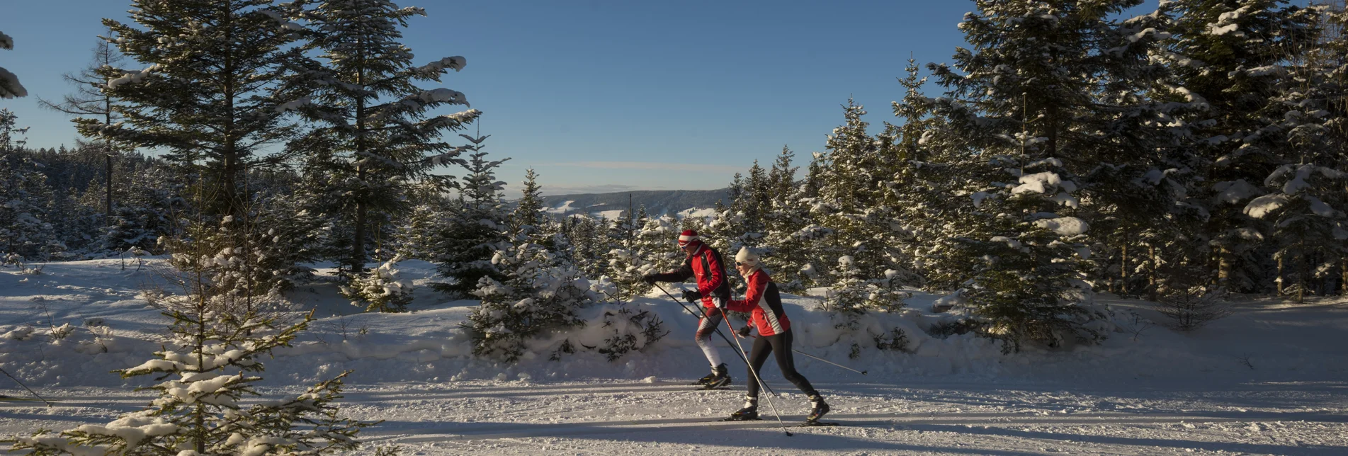 PackageCross-country skiing in Joglland  - 