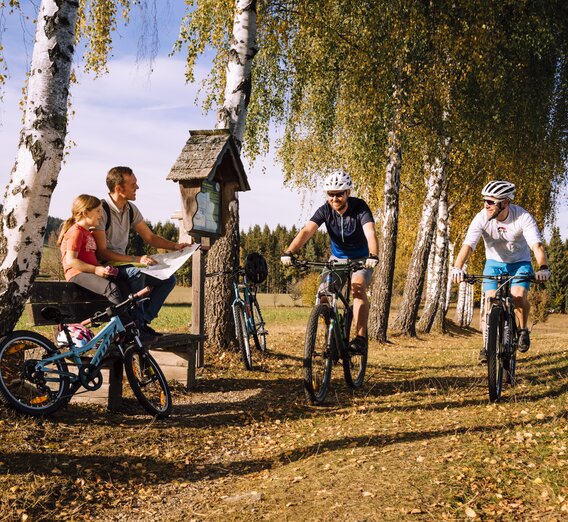 Mountain biking and cycling in autumn in Eastern Styria | © Oststeiermark Tourismus | Bernhard Bergmann | © Oststeiermark Tourismus, Bernhard Bergmann