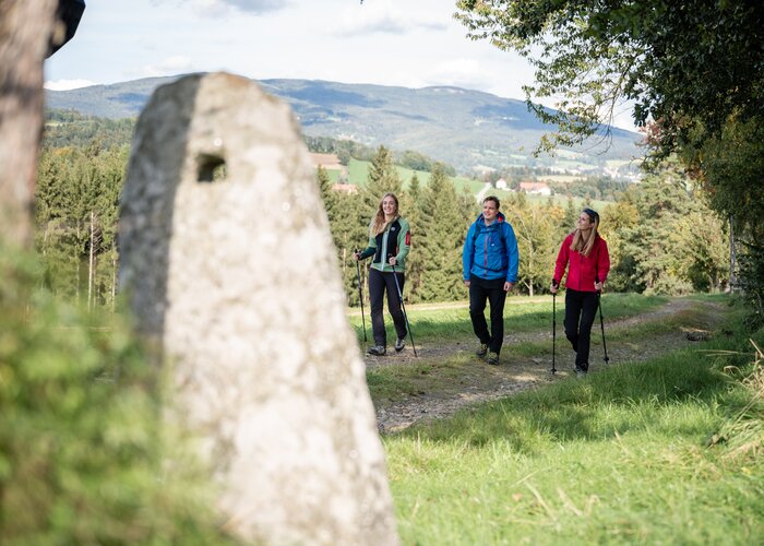 Wandern am Lochsteinweg in Vorau | © TV Oststeiermark | Klaus Ranger