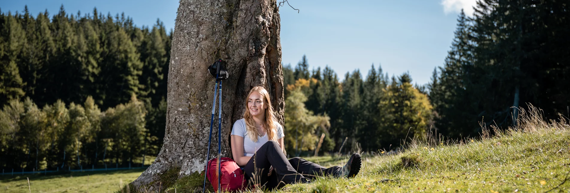 comfortable rest during a hike on Masenberg mountain | © TV Oststeiermark | Klaus Ranger