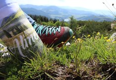 Wandern im Naturpark Almenland | © WEGES