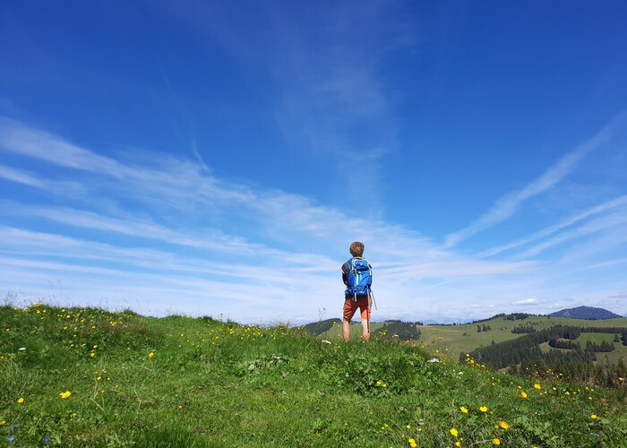 Hiking on the Siebenkögel circular trail in Eastern Styria | WEGES OG | © WEGES