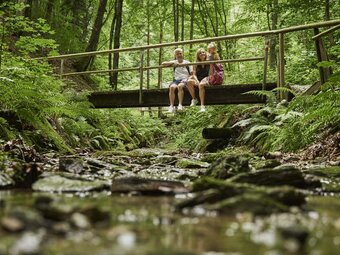 Brücke bei der Hilmtor-Runde in der Oststeiermark