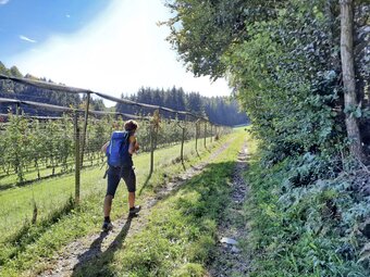 Wanderweg um Gleisdorf in der Oststeiermark