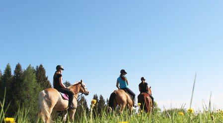 Horseback riding at the Narnhoferwirt in Eastern Styria | © Karin Leitner | Das Leitner