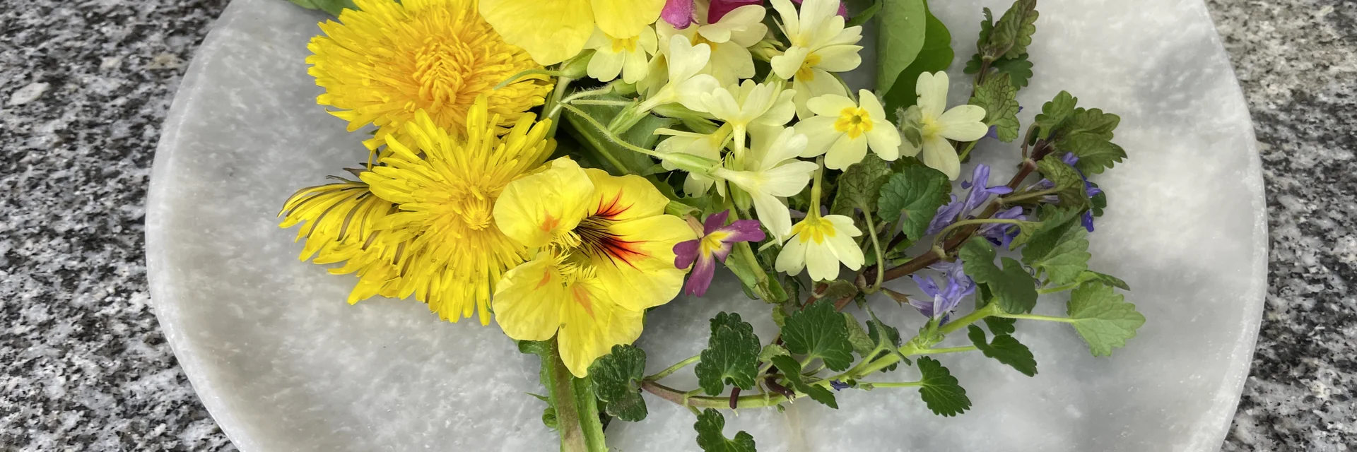 Frühlingskräuter im Naturpark Almenland | © TV Oststeiermark | Chiara Raith Frühlingskräuter im Naturpark Almenland | © TV Oststeiermark | Chiara Raith