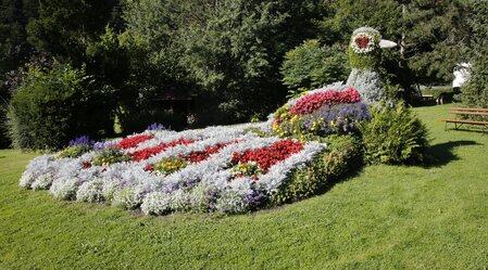 Blumenpfau in Mönichwald | © Tourismusverein Mönichwald | Maria Rauchenberger | © Tourismusverein Mönichwald / Rauchenberger