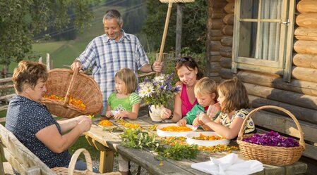 Herb harvest at the Pöllabauer in eastern Styria | © TV Oststeiermark | Bernhard Bergmann