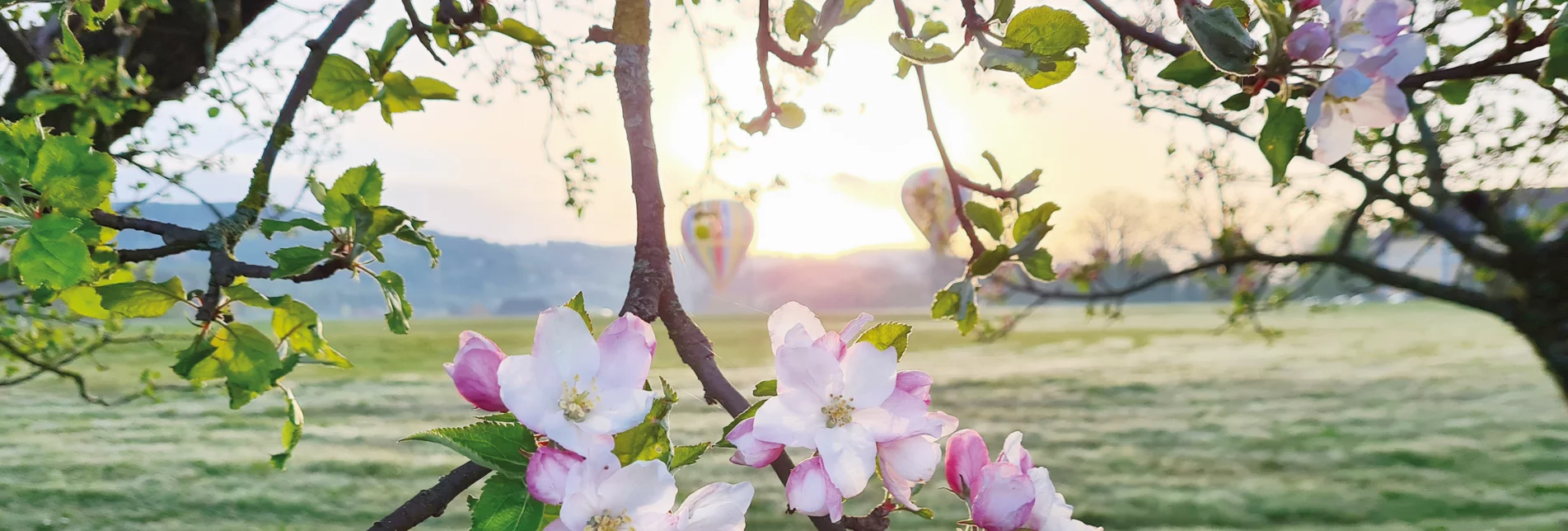 Morgenstimmung im Frühling in der Oststeiermark | © Oststeiermark Tourismus | Christine Schwetz