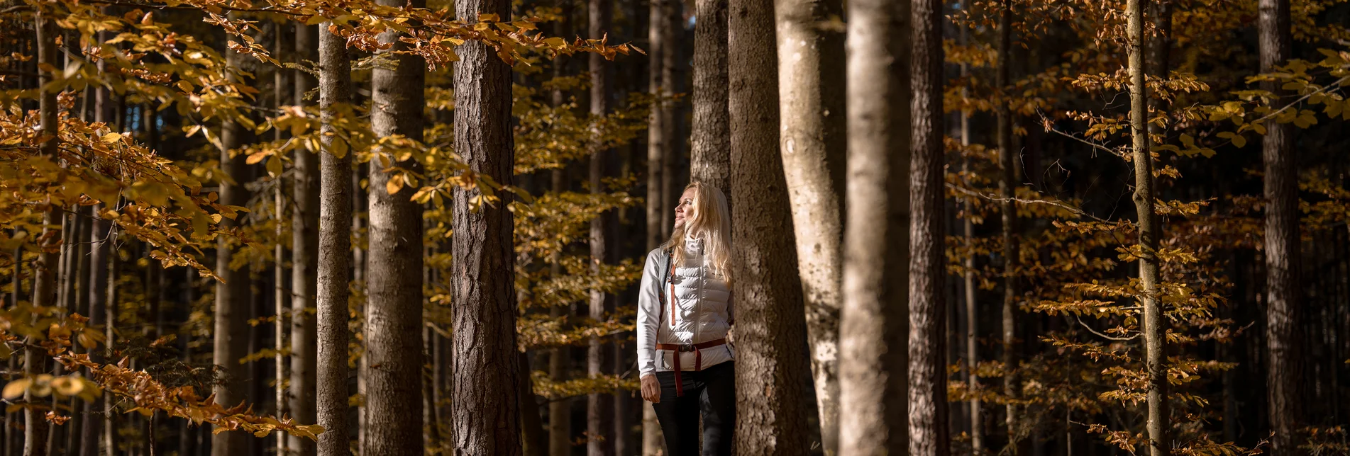 Spaziergang durch den herbstlichen Wald | © 
Oststeiermark Tourismus | Alex Lang