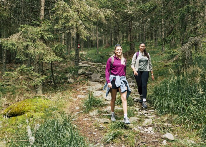 Hike over the Steinere Stiege in the Wechselland region | ©  Oststeiermark Tourismus |  Bernhard Bergmann