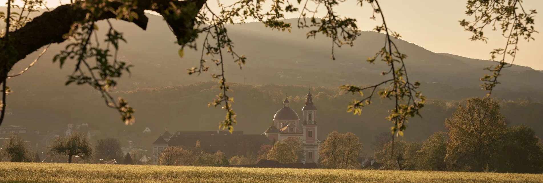 Landscape of the Pöllau Valley in Eastern Styria | © Oststeiermark Tourismus | Lang-Bichl - RKP