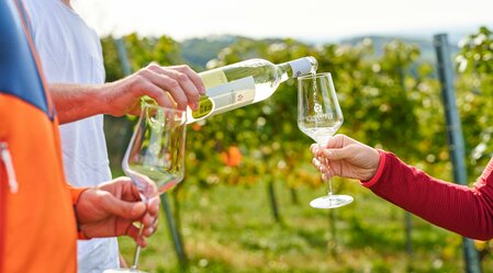 People taste wine in a vineyard in Hartberg in eastern Styria | ©  Oststeiermark Tourismus | Markus Lang-Bichl