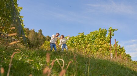 Spazieren durch die Weingärten in Hartberg in der Oststeiermark | ©  Oststeiermark Tourismus | Lang-Bichl - RKP