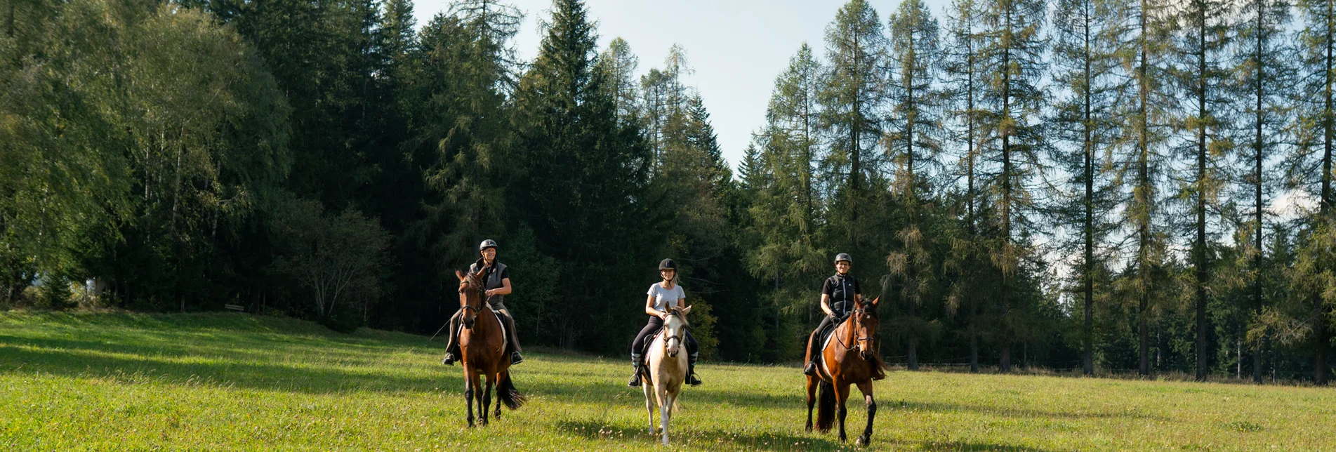 Reiten im Joglland- Waldheimat in der Oststeiermark | ©  Oststeiermark Tourismus | RKP Marketing