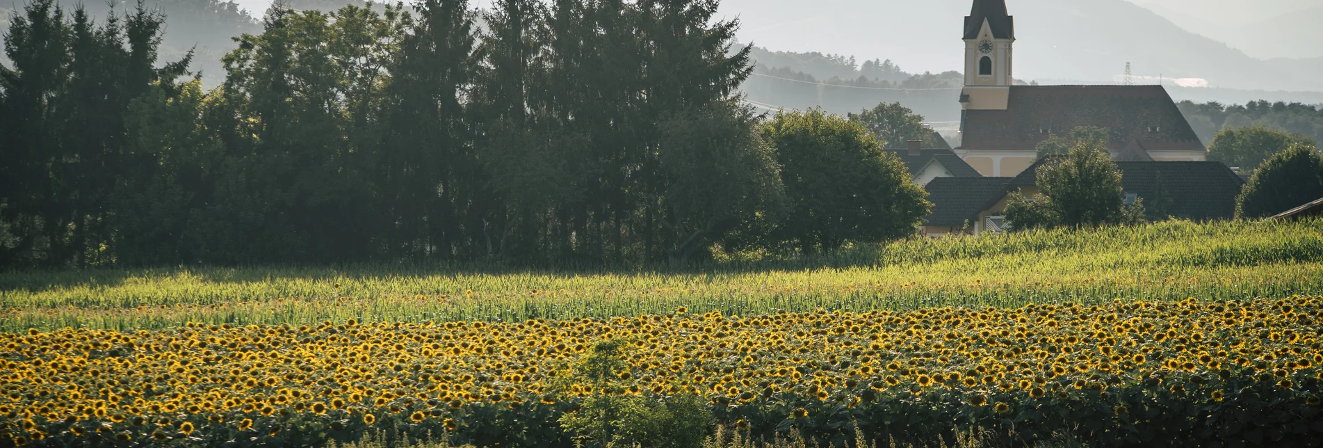 Church in Ebersdorf in Eastern Styria Kirche in Ebersdorf in der Oststeiermark